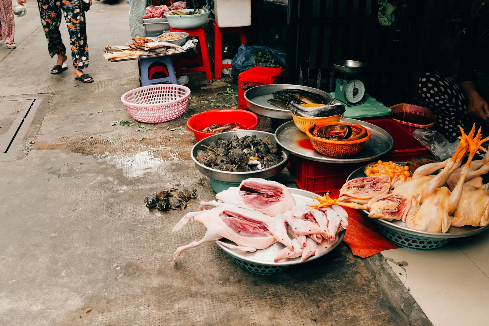 Raw poultry and snails displayed in baskets at a wet market stall